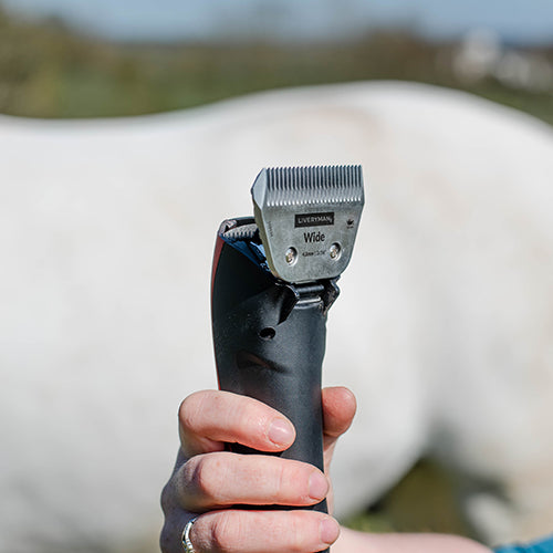 Hand holding a grooming clipper with a horse in the background