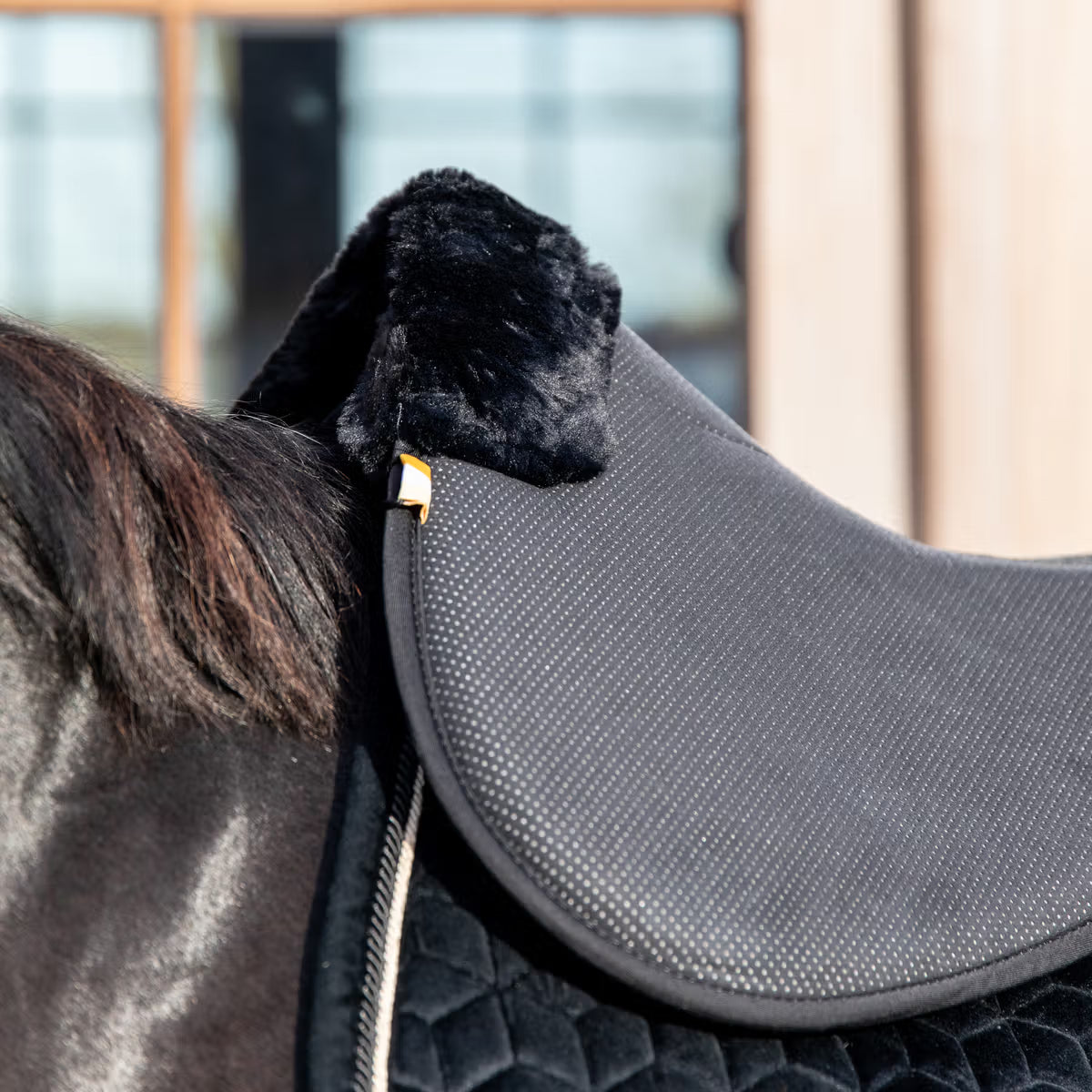 Black saddle pad on a horse with a blurred background