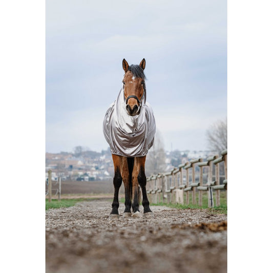 Horse wearing a silver blanket standing in a field with a fence and landscape in the background.