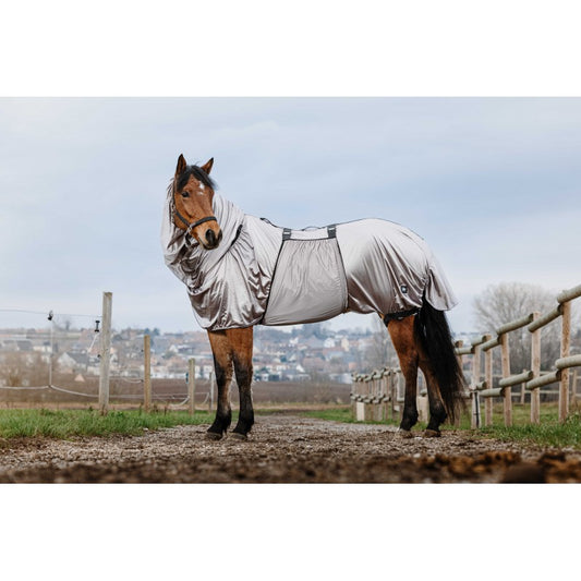 Horse wearing a gray fly sheet in an outdoor setting with a fence and sky in the background.