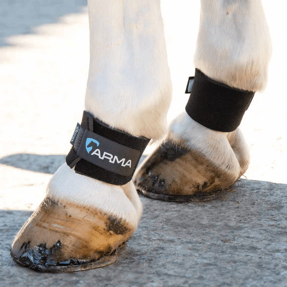 Arma Pastern Wraps Black One Size - Horse Boots & Leg Wraps