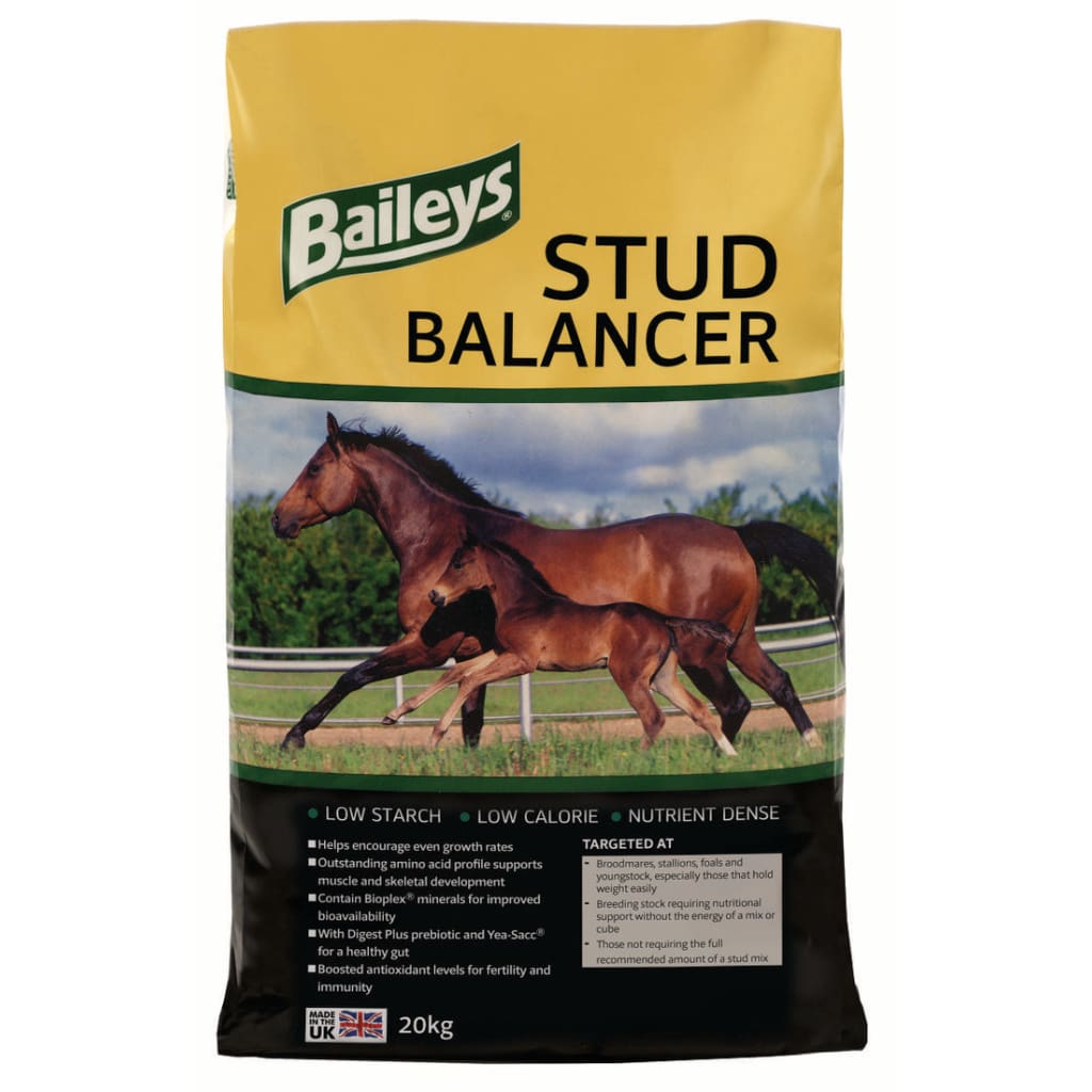 Boomerang Equestrian - Baileys Stud Balancer