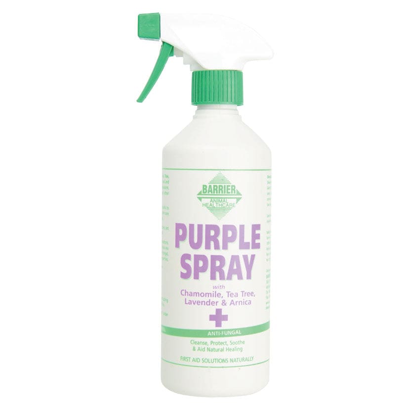 Boomerang Equestrian - Barrier Purple Spray