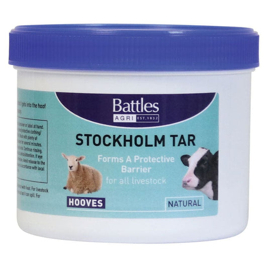 Boomerang Equestrian - Battles Stockholm Tar