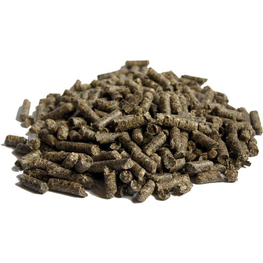 Boomerang Equestrian - Beet Pulp Pellets