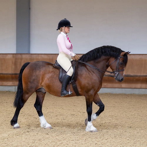 Person riding a brown horse in an indoor arena