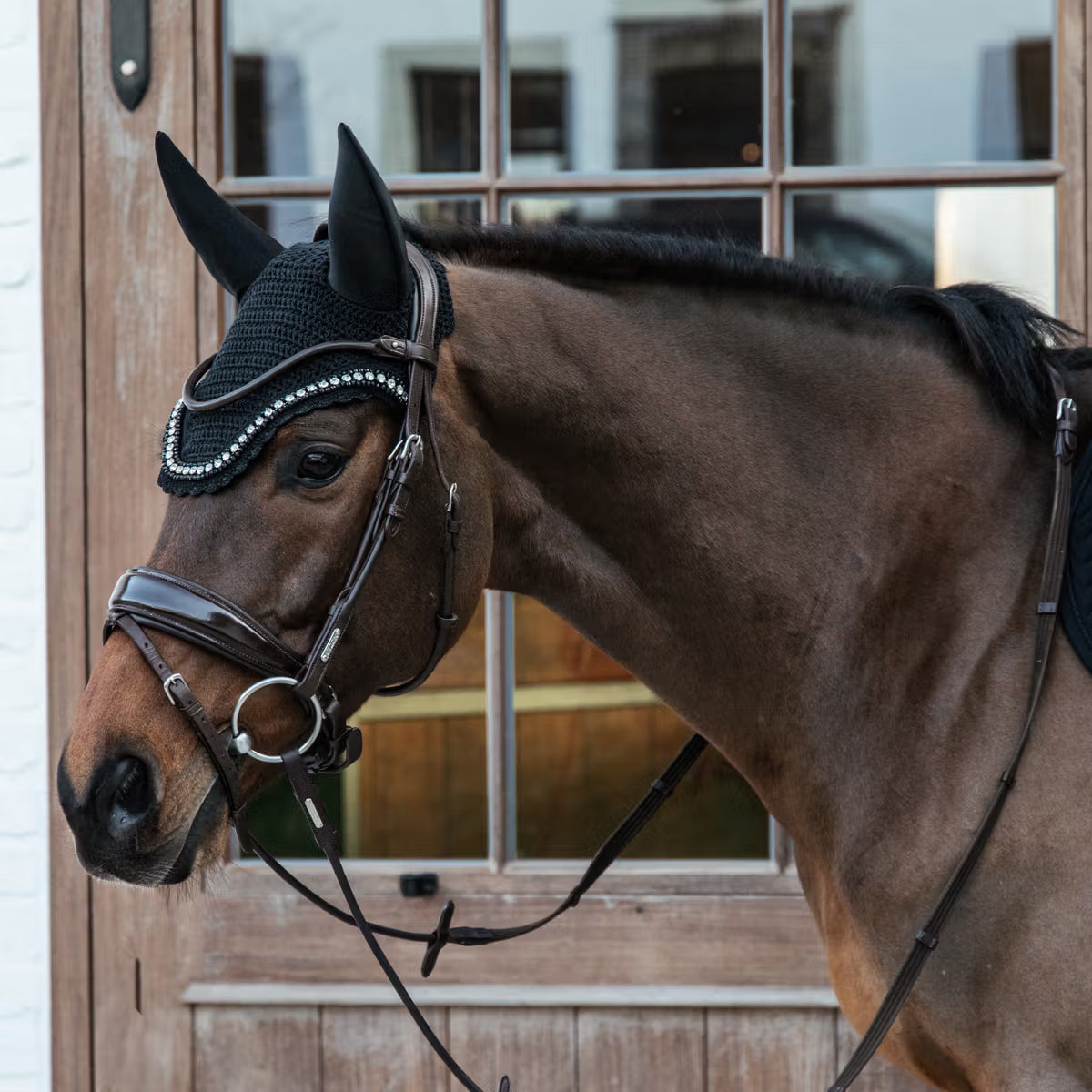 Horse wearing a bridle in front of a wooden door