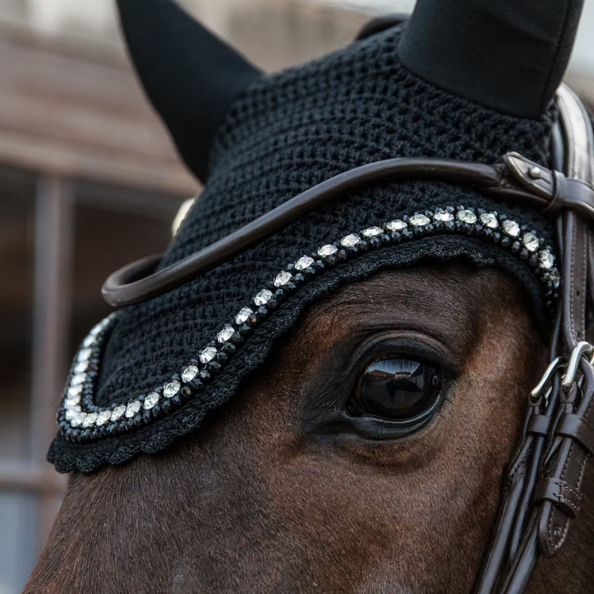 Close-up of a horse's eye wearing a decorative fly veil with crystals.