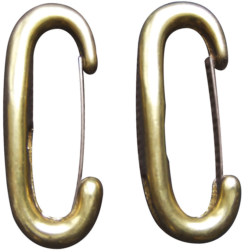 Pair of brass carabiner hooks on a white background
