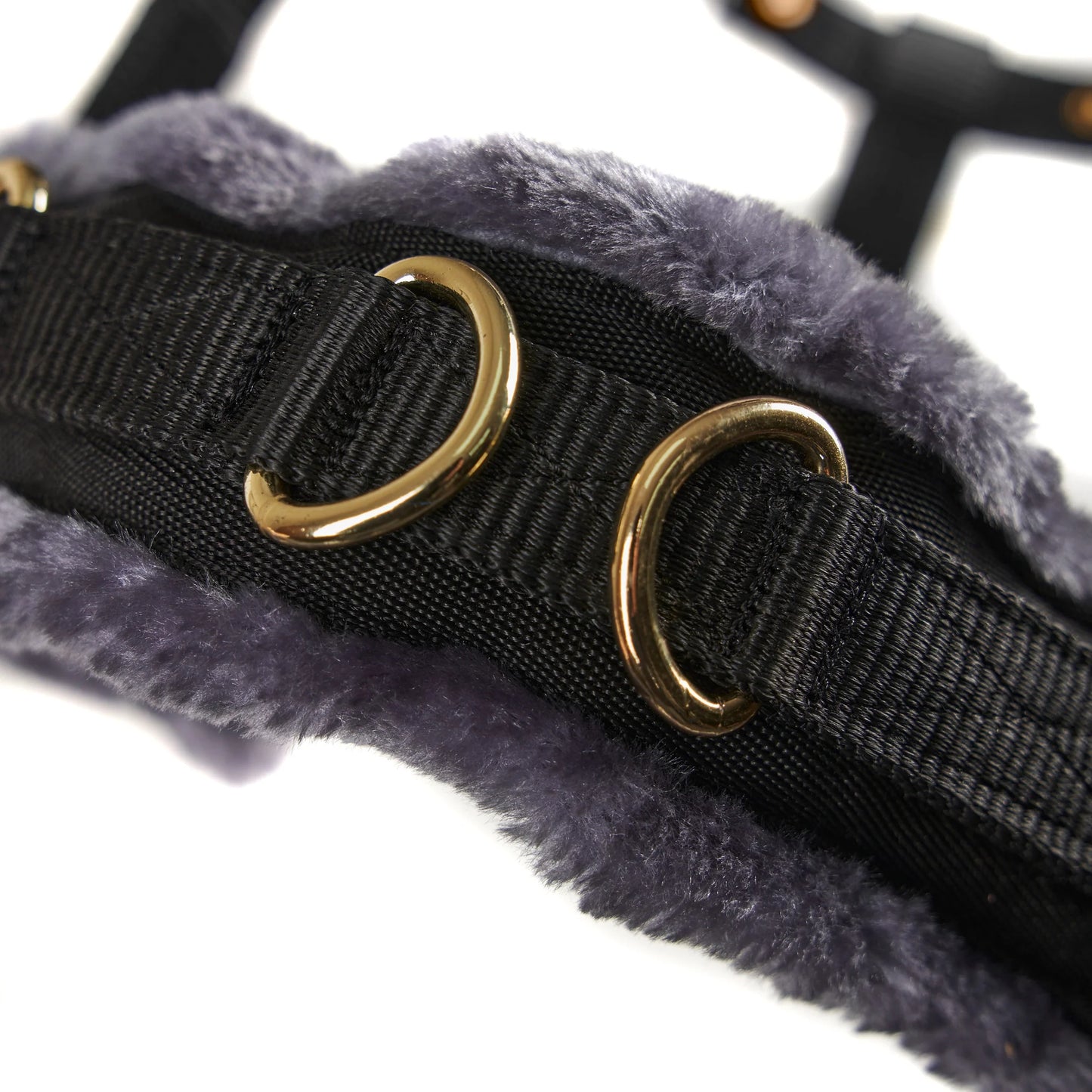 Close up of two rings on a fluffly black cavesson