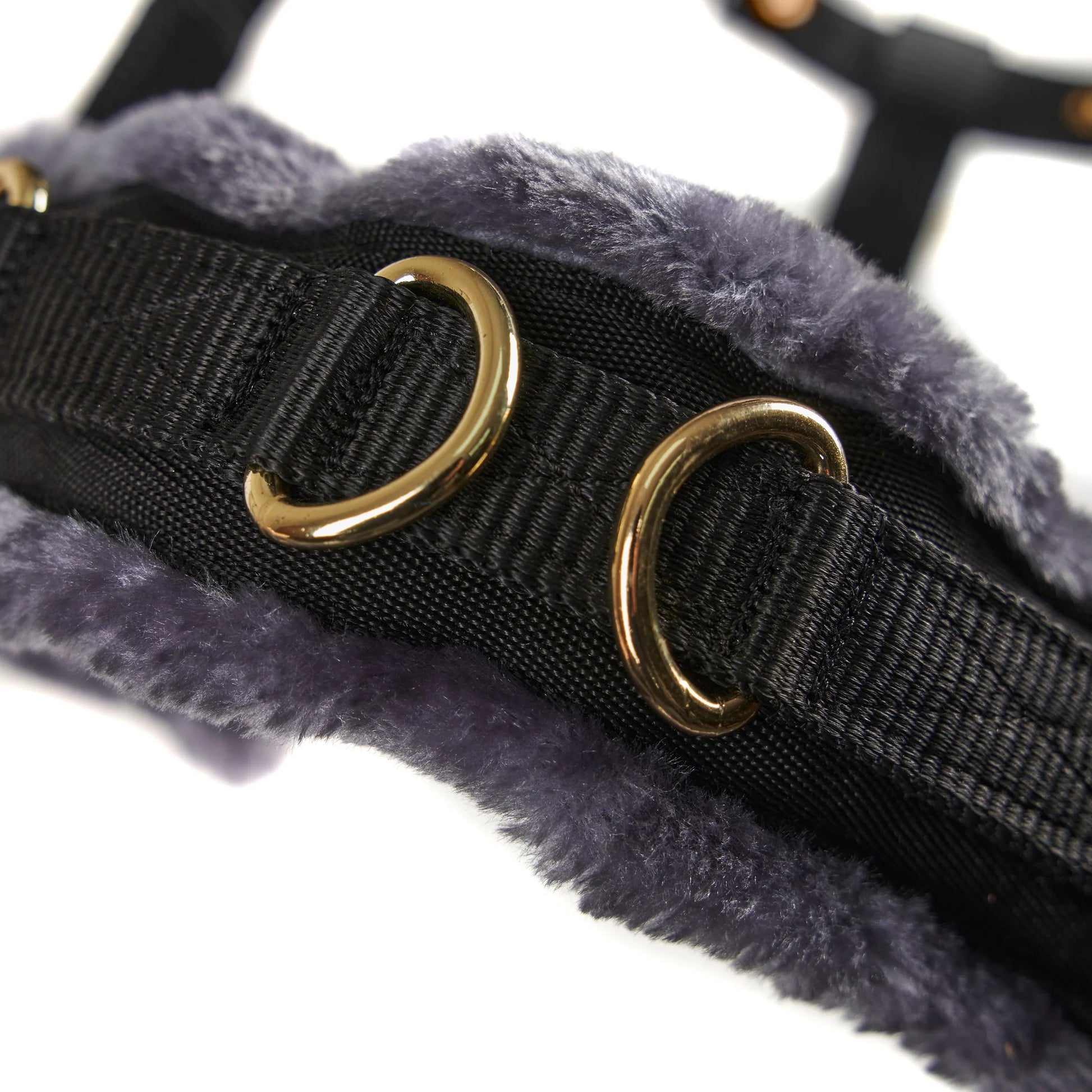 Close up of two rings on a fluffly black cavesson