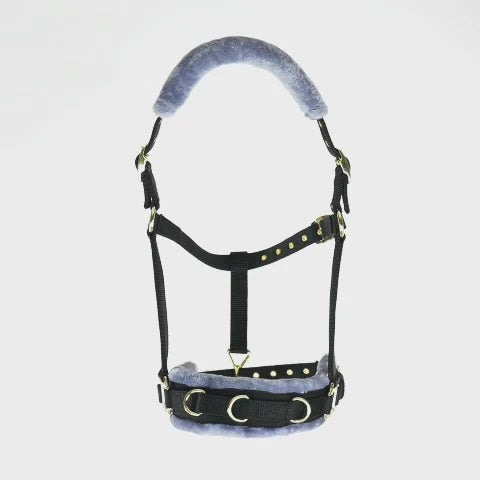 Black fluffy cavesson on a white background