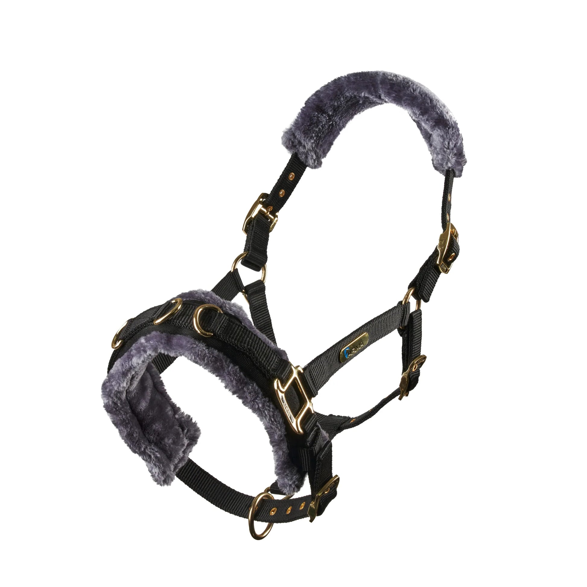 Black fluffy cavesson on a white background