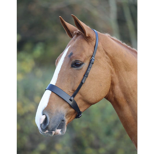 Boomerang Equestrian - Shires Blenheim Hunter Cavesson Noseband Brown