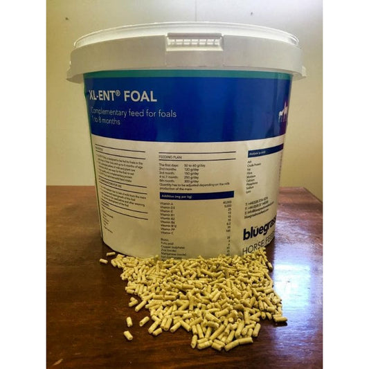 Boomerang Equestrian - Bluegrass XL-ENT Foal Pellets