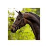 BR Bath Bridle With Double Noseband Black - FULL - Bridle