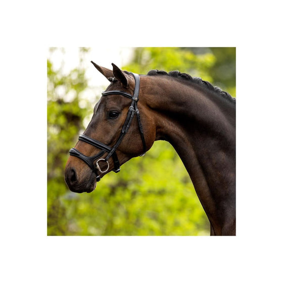 BR Bath Bridle With Double Noseband Black - FULL - Bridle