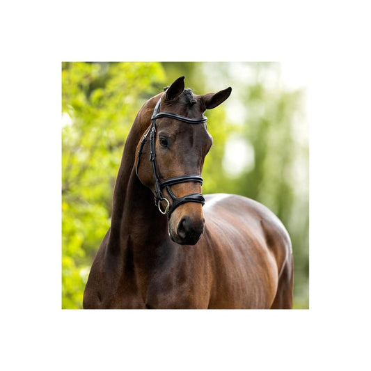 Boomerang Equestrian - BR Bath Bridle With Double Noseband Black