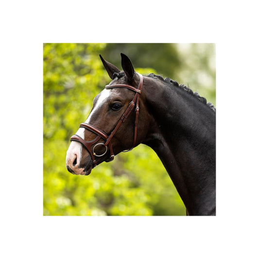 Boomerang Equestrian - BR Bath Bridle With Double Noseband Oak/Silver