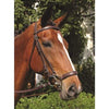 BR Leather Noseband With Lever Action Tobacco - FULL / TOBACCO - Noseband