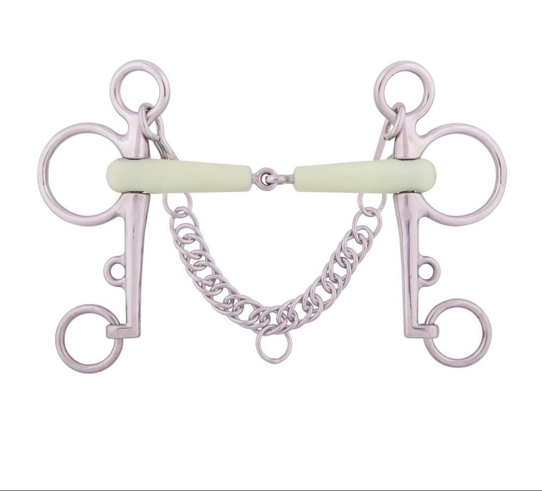 Horse bridle bit with chain on a white background