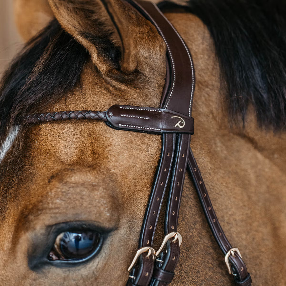 Close-up of a horse's head wearing a brown bridle with a visible brand logo.