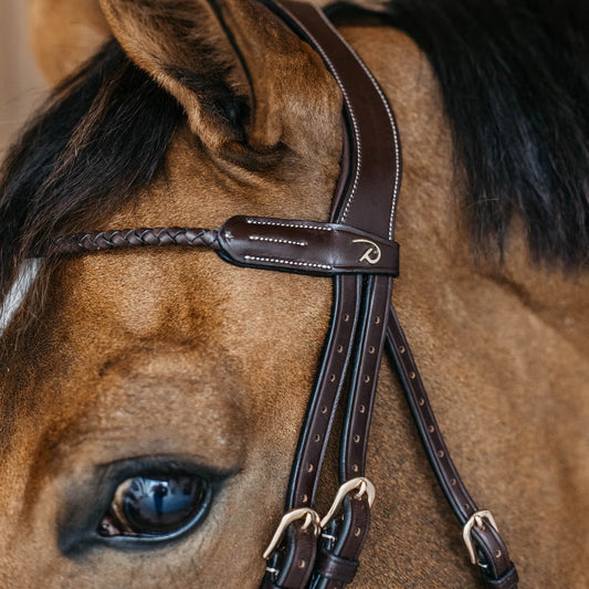 Close-up of a horse's head wearing a brown bridle with a visible brand logo.