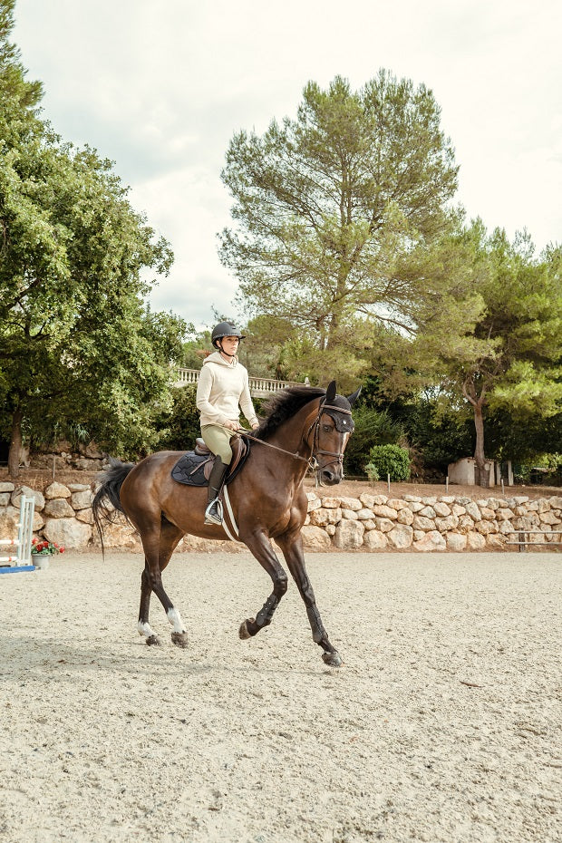 Person riding a horse in an outdoor setting with trees and a stone wall in the background