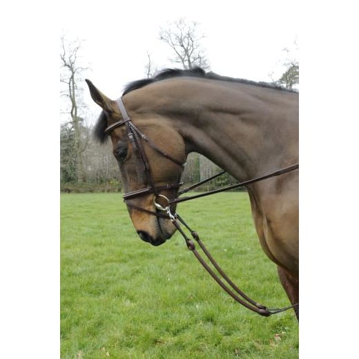 Boomerang Equestrian - Celtic Equine Bungee Martingale Brown
