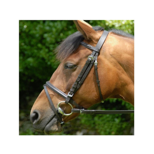 Boomerang Equestrian - Celtic Equine Classic Bridle & Reins