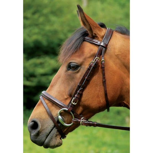 Boomerang Equestrian - Celtic Equine Comfort Bridle With Flash Black/Brass Buckles