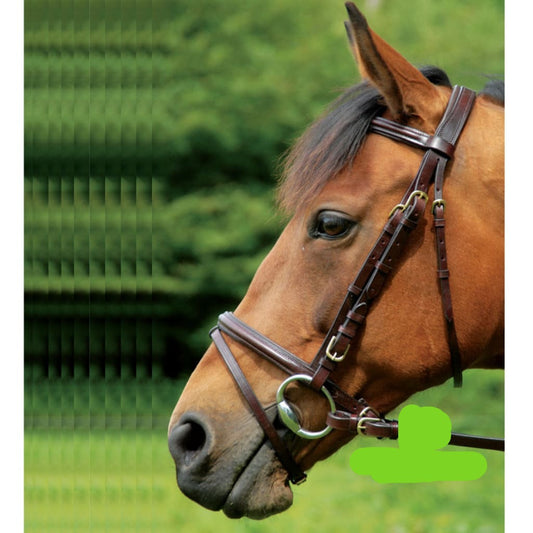 Boomerang Equestrian - Celtic Equine Comfort Bridle With Grackle Noseband Black/Brass