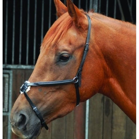 Boomerang Equestrian - Celtic Equine Grackle Noseband Sheepskin With Rings Brown