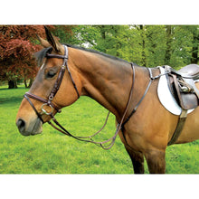  Celtic Equine Hunting Martingale - COB / BROWN - Breastplate
