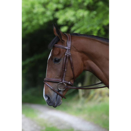 Boomerang Equestrian - Celtic Equine Puissance Bridle Brown