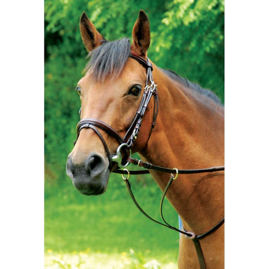 Boomerang Equestrian - Celtic Equine Running Martingale (Silver)