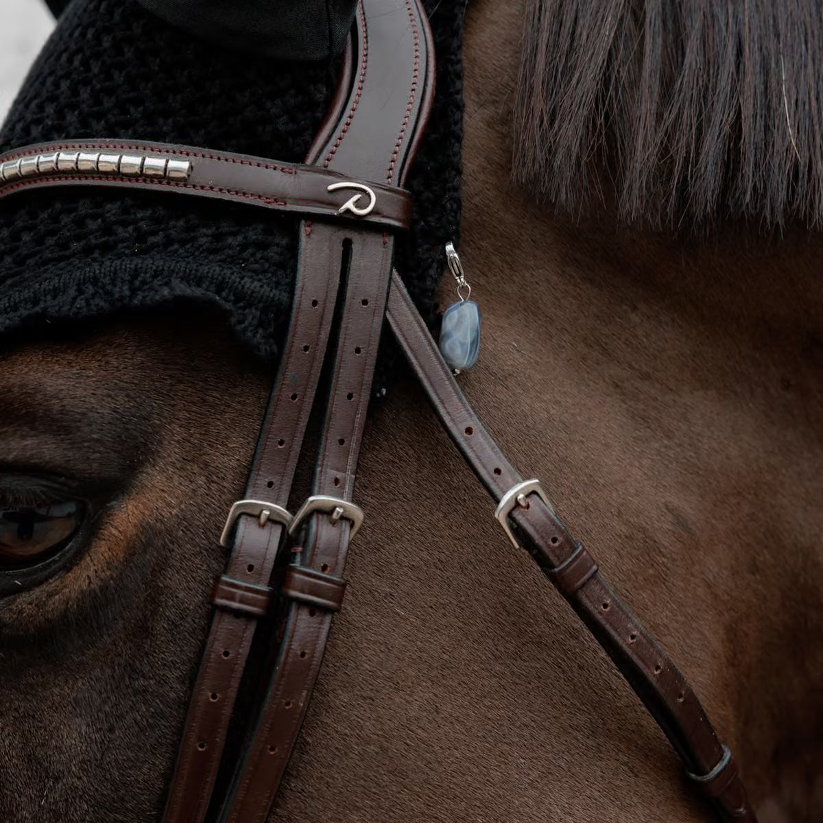 Close-up of a horse wearing a dark brown leather bridle with silver buckles and a black knit ear warmer, shown against the horse's brown fur.