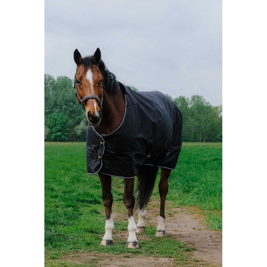Horse wearing a black rug standing on a grassy path with trees in the background