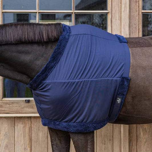 Horse wearing a blue blanket with dark trim in front of a wooden stable door.