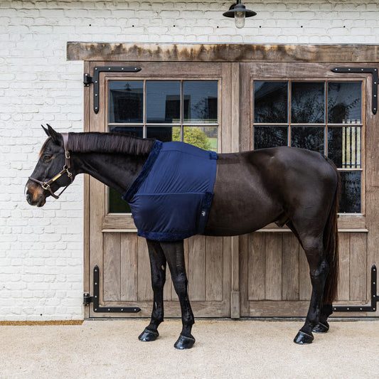 Horse wearing a blue rug standing in front of a wooden stable door.