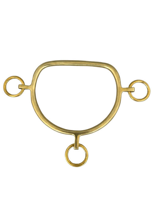 Gold metal bridle bit to lead horses in on a white background