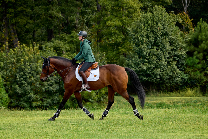 Person riding a horse in a grassy field with trees in the background