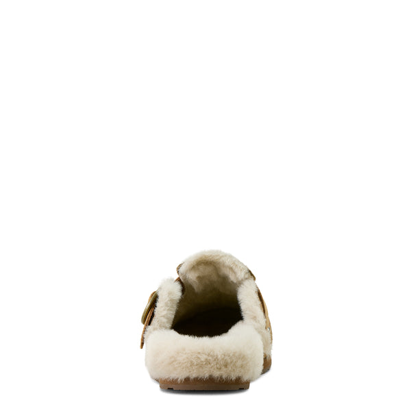 Brown and white slipper on a white background