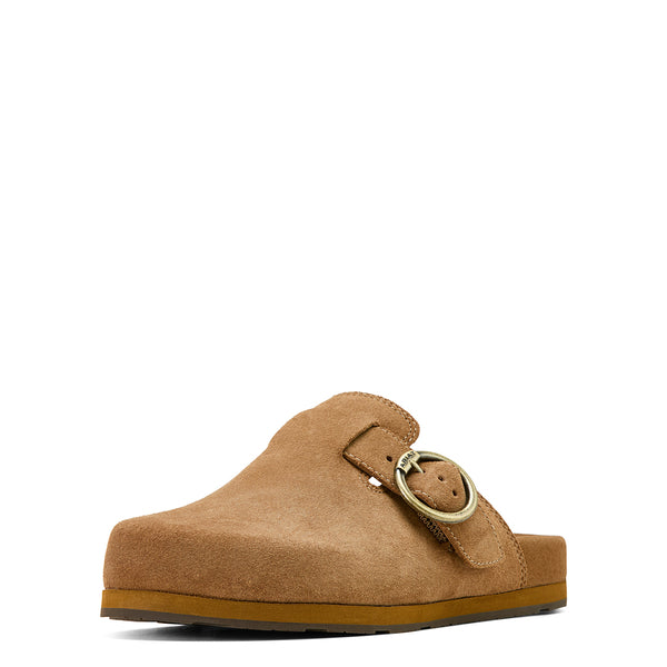 Brown clog shoe with a gold buckle on a white background