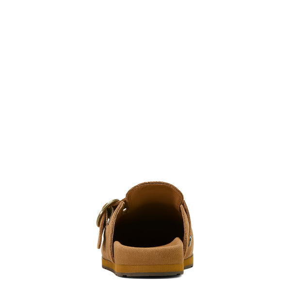 Brown sandal on a white background