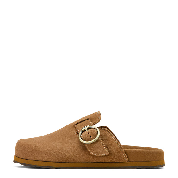 Brown sandal with a gold buckle on a white background