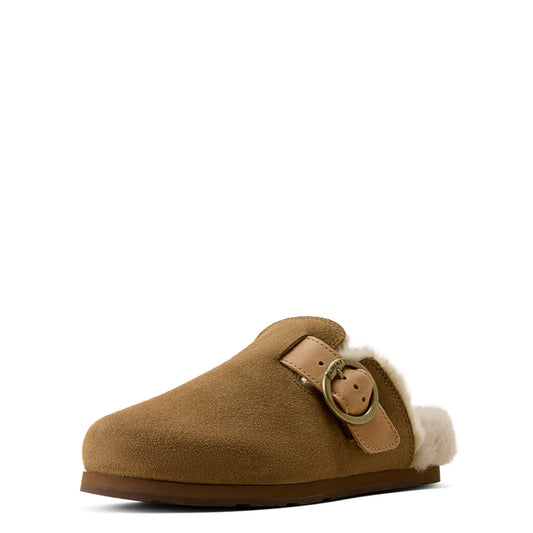 Brown slipper with a buckle on a light beige background