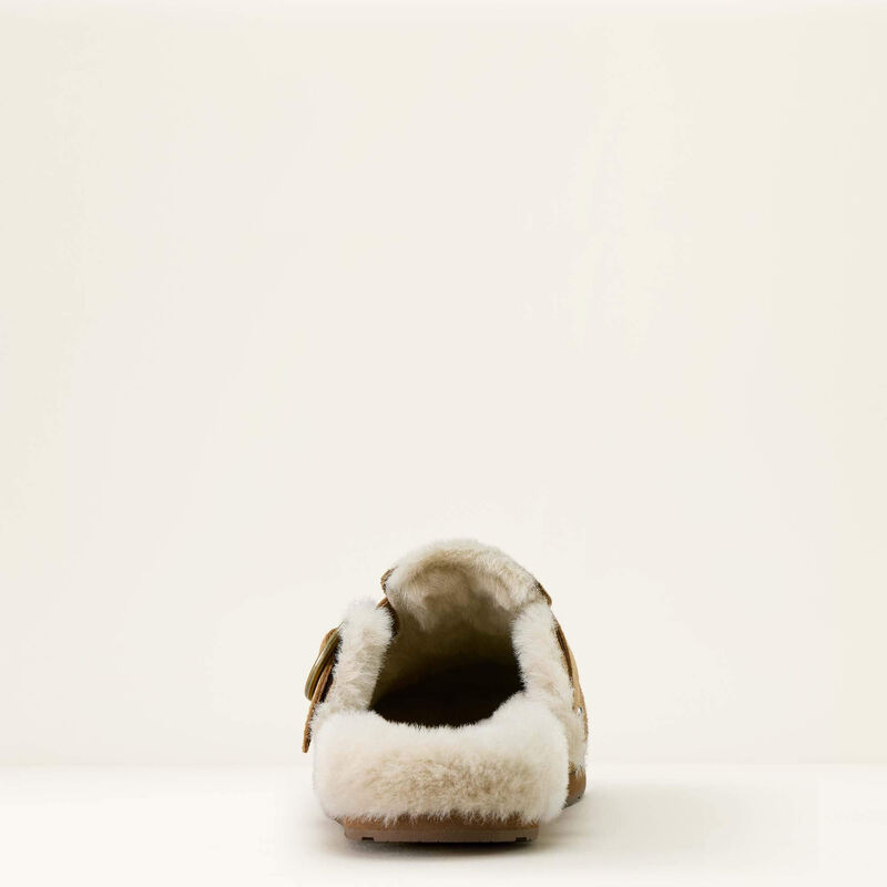 Brown suede shoe on a white background