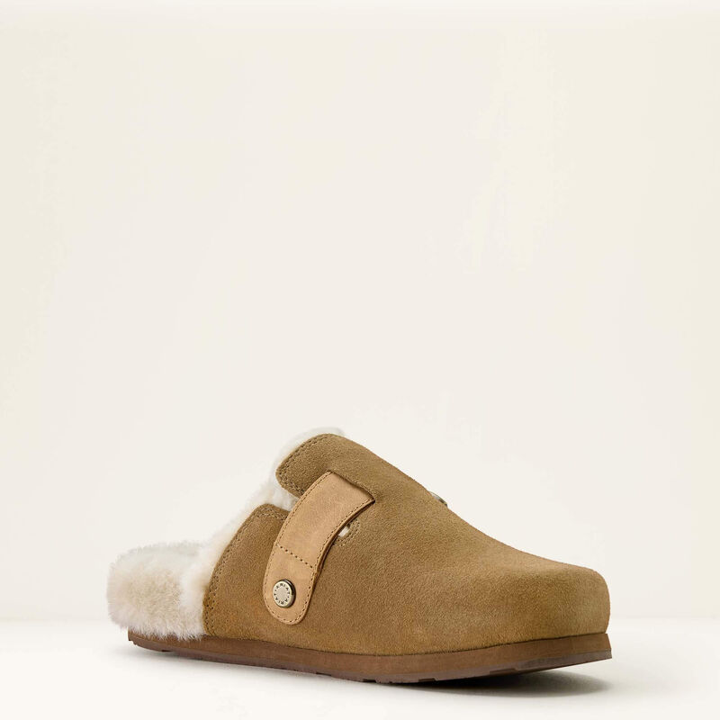 Brown suede shoe on a white background