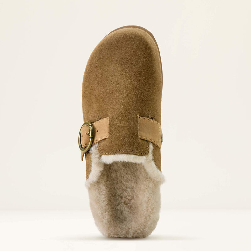 Brown suede shoe on a white background